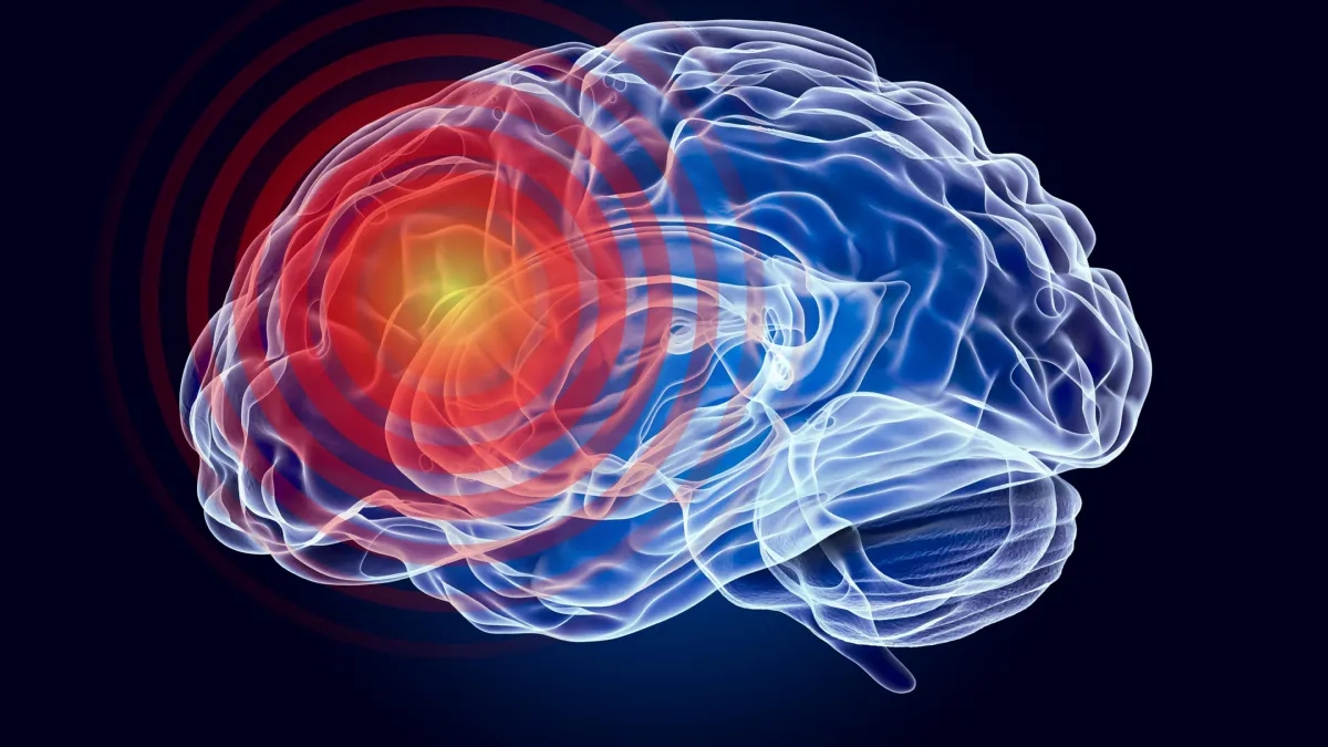 This tiny peptide could help stop brain damage after injury